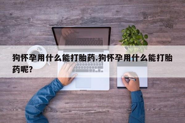 米非米索网上购买新闻 第54页
