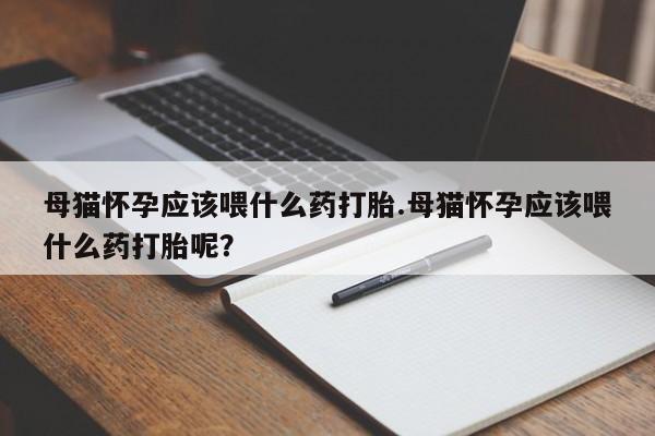 米非米索网上购买母猫怀孕应该喂什么药打胎.母猫怀孕应该喂什么药打胎呢？