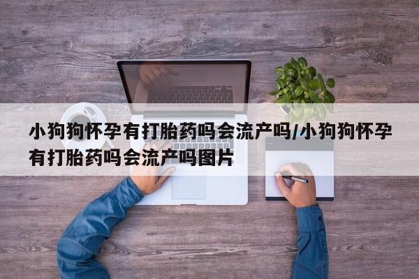 米非米索网上购买小狗狗怀孕有打胎药吗会流产吗/小狗狗怀孕有打胎药吗会流产吗图片
