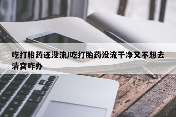 米非米索网上购买吃打胎药还没流/吃打胎药没流干净又不想去清宫咋办