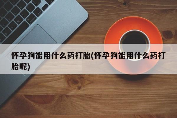 米非米索网上购买怀孕狗能用什么药打胎(怀孕狗能用什么药打胎呢)