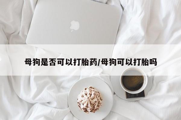 米非米索网上购买母狗是否可以打胎药/母狗可以打胎吗